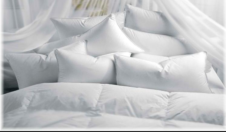 877c321d-1b85-4cbb-a0f0-53e2bf65065e